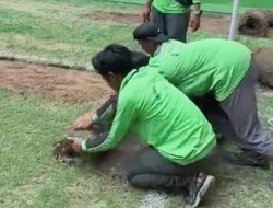 Loyalis Anies Pernah Samakan Rumput JIS dengan Stadion Bayern Munchen