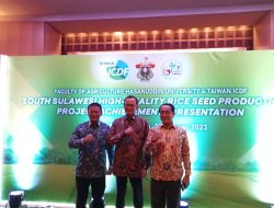 Mampu Tingkatkan Produksi Padi, Unhas dan Taiwan ICDF Sukses Ciptakan Bibit Padi Unggul yang Tahan Hama dan Cuaca
