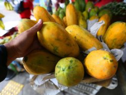 Ketahui Jenis Buah yang Bisa Menjaga Sistem Kekebalan Tubuh saat Musim Hujan