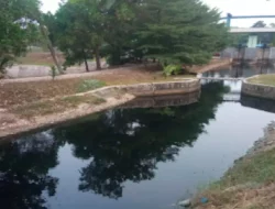 Forum Tingkat Tinggi World Water Forum Berlangsung di Bali, Pengamat Kritik Sungai dan Laut di Indonesia yang Jadi Sarang Penyakit