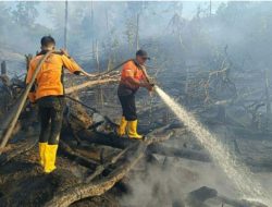 69 Titik Panas Terdeteksi di Kalimantan Timur