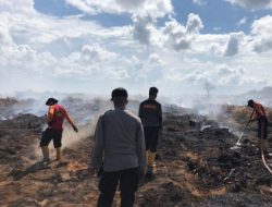 Akibat Karhutla, Kualitas Udara di Jambi Dinilai Menurun