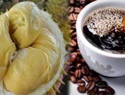 Minum Kopi dan Durian Bisa Bikin Meninggal atau Hanya Mitos?