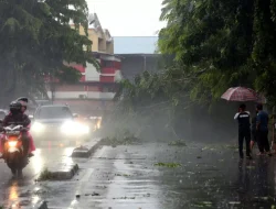Prakiraan Cuaca BMKG, Sumut Bakal Diguyur Hujan dengan Intensitas Lebih dan Angin Kencang