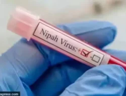 Virus Nipah Muncul Lagi di India Setelah Diidentifikasi di Malaysia dan Singapura pada 1998, Ini Gejala dan Pencegahannya