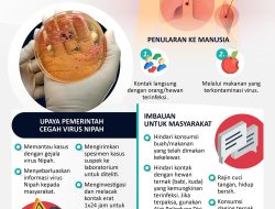 Upaya Mitigasi Cegah Virus Nipah