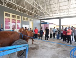 Kunjungan ke Pucak Maros, Pj Gubernur Bahtiar Dorong Inseminasi Buatan Tingkatkan Populasi Ternak 