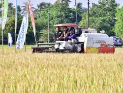 Perum Bulog Sebut El Nino hingga Harga Pupuk Jadi Tantangan Pangan Nasional