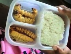 Siswa Bawa Bekal Ulat Sagu, Netizen Justru Soroti Respons Gurunya