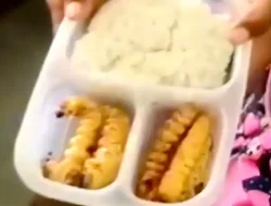 Viral Usai Jadi Bekal Siswa SD, MUI Tegaskan Ulat Haram Dikonsumsi