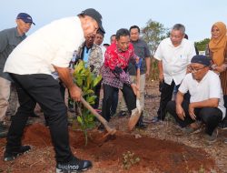 Penanaman 40 Bibit Nangka Madu di Bulukumba, Pj Gubernur Bahtiar: Jangan Biarkan Lahan Kosong