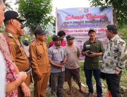 Pemprov Sulsel Siapkan Skema Bisnis Hulu Hingga Hilir untuk Atasi Masalah Petani Bawang Merah di Enrekang