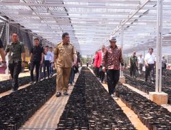Jutaan Bibit Pisang Cavendish Dilaunching di Pusat Pembibitan Unhas