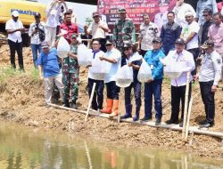 50.000 Benih Nila Dilepas di Embung Kecamatan Mare Bone