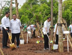 Sebagai Menteri LHK Ad-Interim, Amran Sulaiman Dampingi Presiden Gerakan Tanam Pohon Bersama
