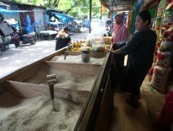 Jadi Penyumbang Inflasi, Alur Distribusi Beras di Sulsel Harus Dibenahi