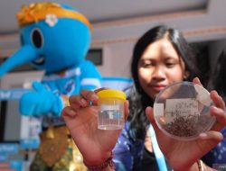 Kementerian Kesehatan Sebut Penggunaan Wolbachia Tak Berpotensi Timbulkan Penyakit Baru