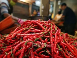 Lonjakan Harga Cabai Merah Sumbang Inflasi