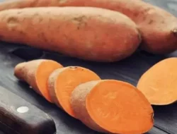 Ketahui Manfaat Ubi Jalar, Mulai Usus, Anti Kanker hingga Baik untuk Jantung