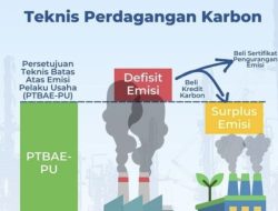 Data Satelit Untuk Perdagangan Karbon