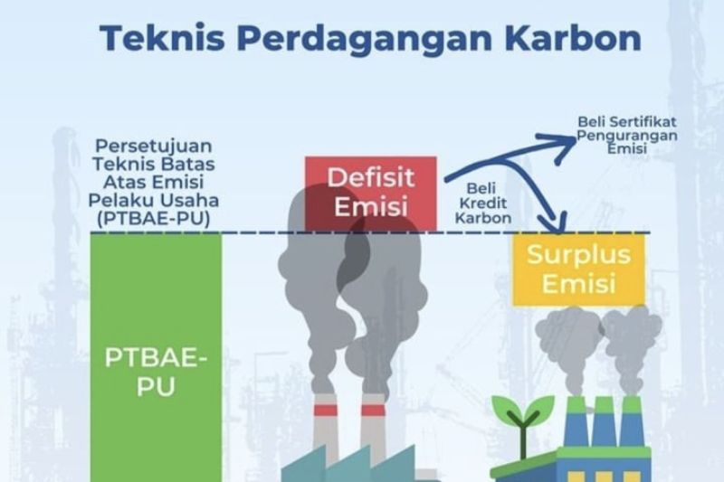 Tahun ini Indonesia memasuki era baru perdagangan karbon. Karbon adalah elemen utama semua makhluk hidup. (Antara/HO-Budiman Minasny)