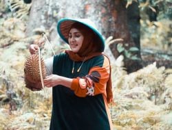 Menikmati Durian dari Pohon Berumur Dua Abad di Ternate