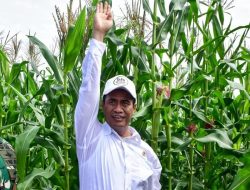Respons Paparan Data dalam Debat Cawapres, Amran Sulaiman Beberkan Data Ini