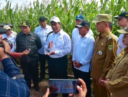 Mentan Amran Pastikan Food Estate Tidak Mangkrak: Tidak Perlu Diributkan!