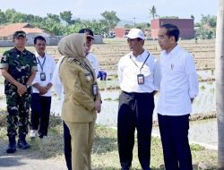 Presiden Jokowi Berjanji Pupuk Subsidi Dipermudah dan Ditambah, Mentan Menyanggupi