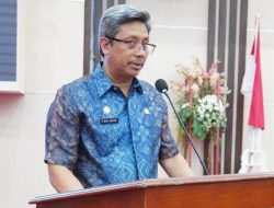 Pj Sekda Sulsel Paparkan Strategi dan Implementasi Program Transformasi Digital Ekosistem Kesehatan 