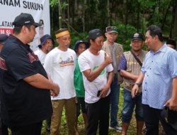 Jaga Kelestarian Kawasan Geopark, 10 Ribu Pohon Sukun Bakal Ditanam di Rammang-rammang Maros