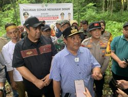 Pemprov Sulsel Bakal Anggarkan 10 Ribu Bibit Sukun untuk Maros, Nilai Ekonominya Ditaksir Rp10 Miliar