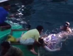 Kapal Tenggelam di Perairan Pangkep Angkut 17 Penumpang, 7 Orang Meninggal Dunia