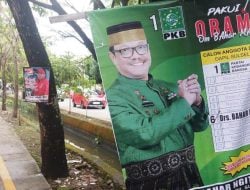 DLH Makassar Bakal Bersih-bersih APK Dipaku di Pohon