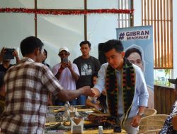 Datang ke Labuan Bajo, Gibran Dengar Aspirasi Komunitas Petani Hortikultura Boleng