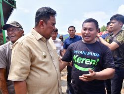Petani Milenial Ikut Galakkan Budidaya Pisang Cavendish Bersama Pj Gubernur Bahtiar