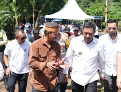 Dimulai dari Desa Biringere, Kades di Pangkep Yakin Masyarakat Tertarik Tanam Pisang Cavendish