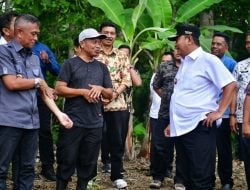 Abdul Hafid, Petani Asal Bone Beli Online Enam  Bibit Pisang Cavendish, Kini Disupport Pj Gubernur Bahtiar 