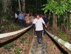 Perjuangan Bahtiar Galakkan Budidaya Pisang Cavendish, dari Desa ke Desa Hingga Jalan Kaki Lewati Titian Bambu 