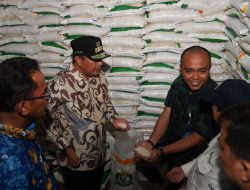Penyaluran CBP 100 Persen, Pemprov Sulsel dan Bulog Prioritaskan Ketahanan Pangan