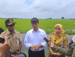 Kunjungi Korban Banjir Demak, Mentan Amran Beri Bantuan Rp 30 Milliar