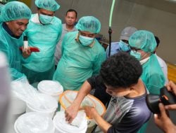 Pemprov Sulsel dan PT Bomar Kembangkan Benur Udang untuk Warga Pesisir, Pj Gubernur Bahtiar: Ini Luar Biasa