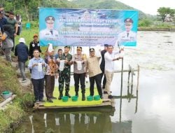 Tiba di Parepare, Pj Gubernur Bahtiar Tebar Benih Udang Vaname dan Tanam Pisang Cavendish