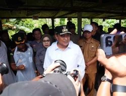 Inseminasi Buatan, Pj Gubernur Bahtiar Target Enrekang Jadi Sentra Sapi Perah