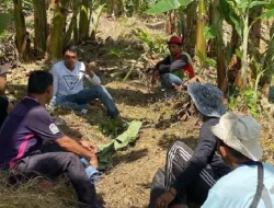 Syaharuddin Alrif, Figur yang Berpotensi Gantikan Andi Ina Jadi Ketua DPRD Sulsel, dari Petani hingga Wakil Rakyat