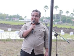 Optimasi Lahan Rawa dan Pompanisasi, Kementan Target 38.565 Hektar Sawah di Sulsel Dapat Berproduksi