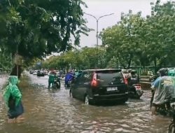 Jakarta Kebanjiran, Dokter Tifa: Benarkah Sumur Resapan Bikinan Anies Dicor Beton? Sadis!