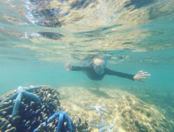 3 Rekomendasi Spot Snorkeling Terbaik di Makassar