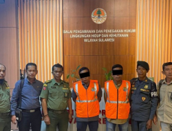 Rusak Hutan Lindung di Bone, Oknum Kepala Desa Ditangkap