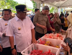 Kendalikan Harga Bahan Pokok, Pemprov Sulsel Hadirkan Pasar Murah Serentak di 24 Kabupaten/Kota